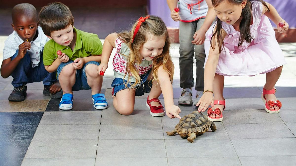 Early Learning Connections