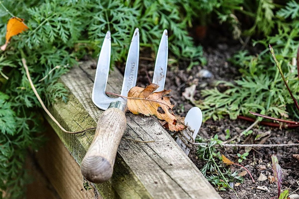 Vegetable and Square Foot Gardening