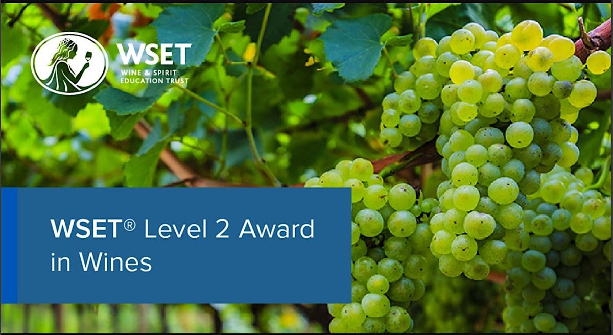 WSET Level 2 Award in Wine Course | Amathus Bath