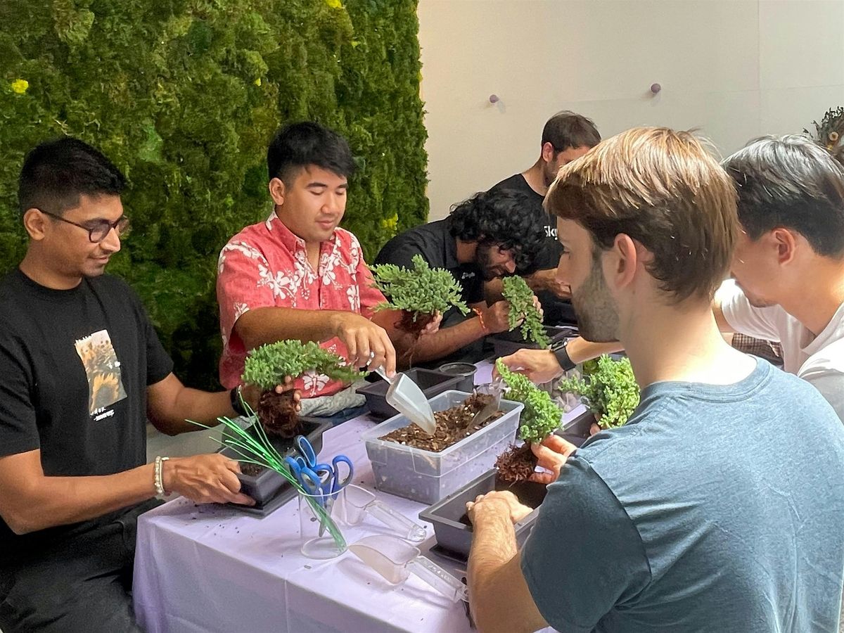Introduction to the Art of Bonsai
