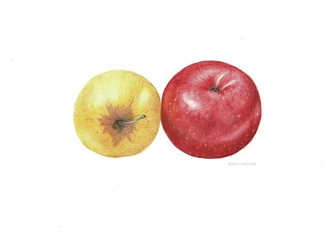 Watercolor Painting with Helen Smithwick!