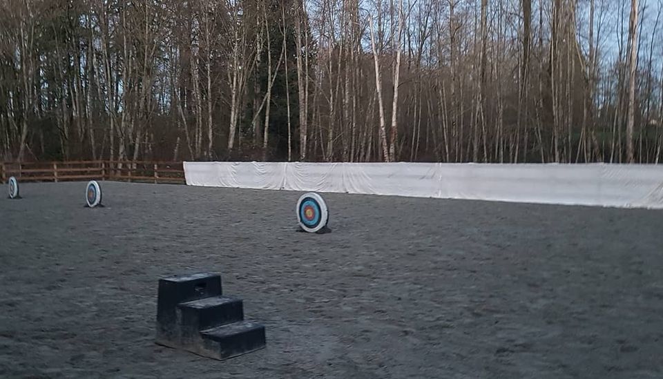 Intro to Horse Archery for Horse and Rider Langley June 25, 2023