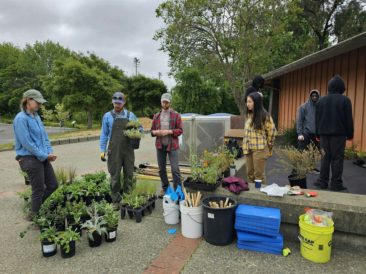 Baxter Creek Community Day: Native Plants, Birding, Cleanups, and More!