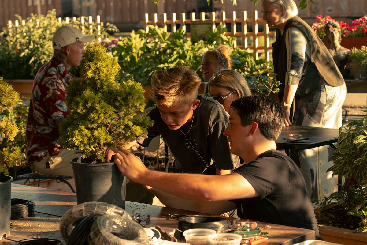 Bonsai Basics: Hands-On Workshop