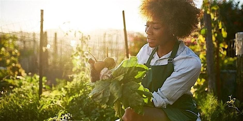 2025 SUSTAINABLE URBAN FOOD PRODUCTION SHORT-COURSE