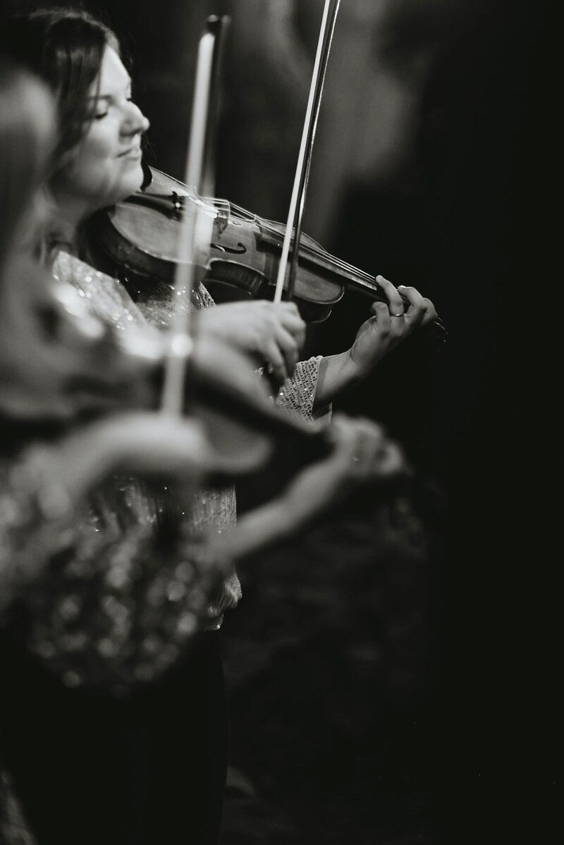 Vivace Live at West Art