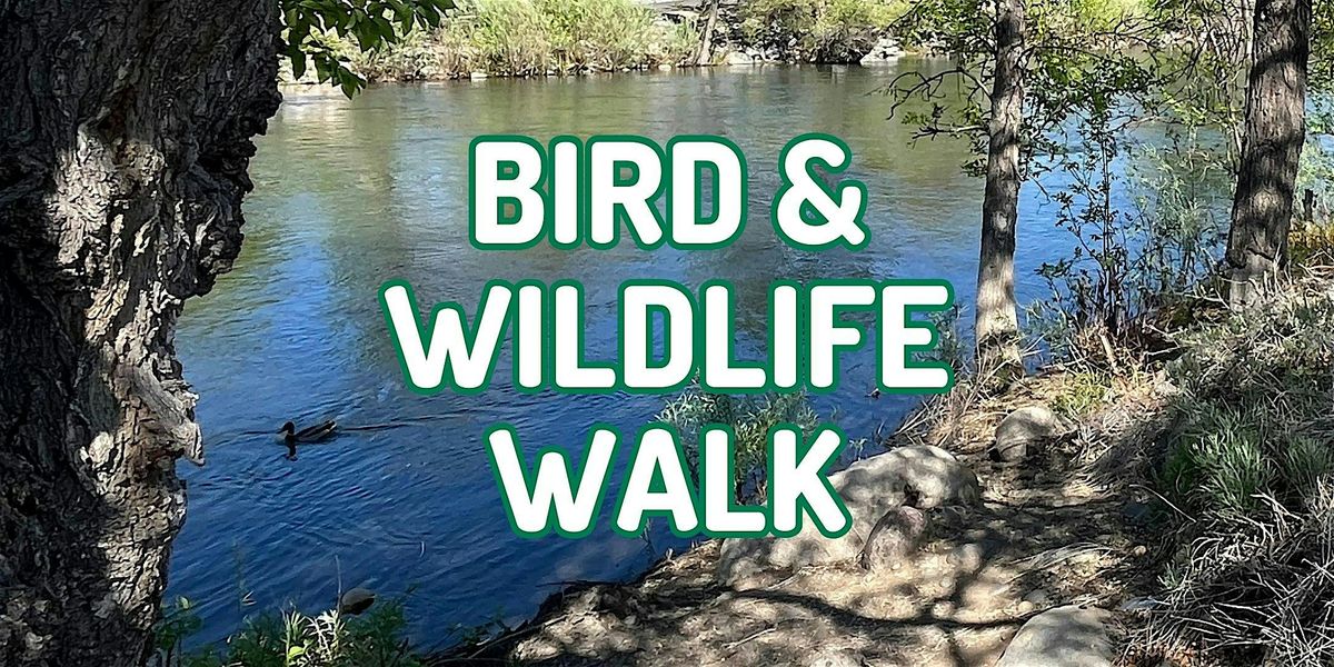 Bird & Wildlife Walk - One Truckee River & Northern Nevada Bird Alliance