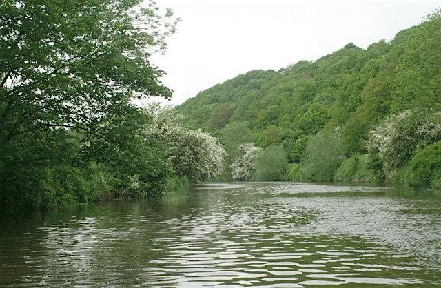 Conham River Forage Course