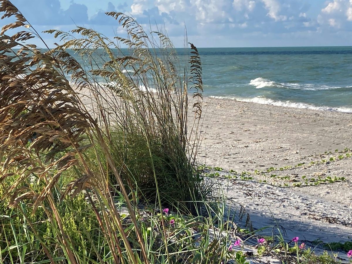 Florida-Friendly Landscaping for Barrier Islands @ Sanibel Library