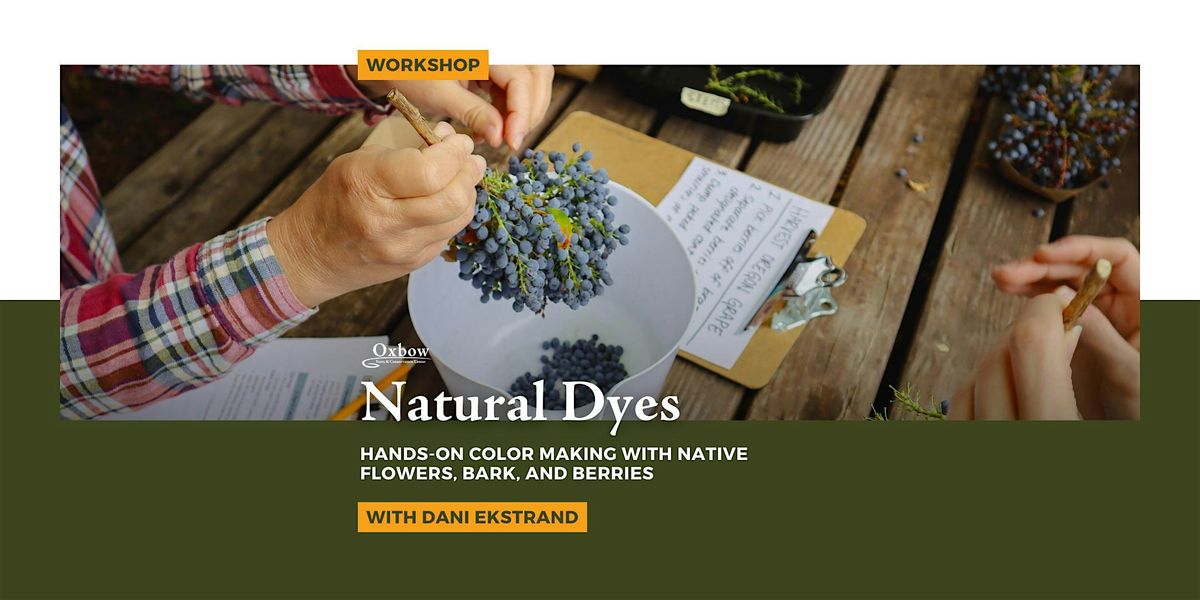 Natural Dyes Workshop
