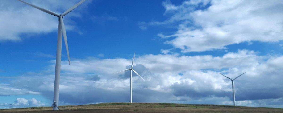 Renewable Electricity Price Guarantee