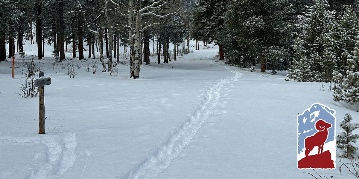 Winter Hike: The Pool