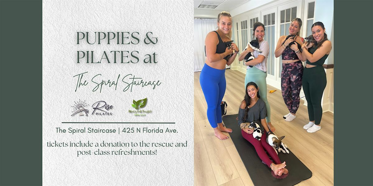 Puppies, Pilates, & Lattes with Mercy Full Project