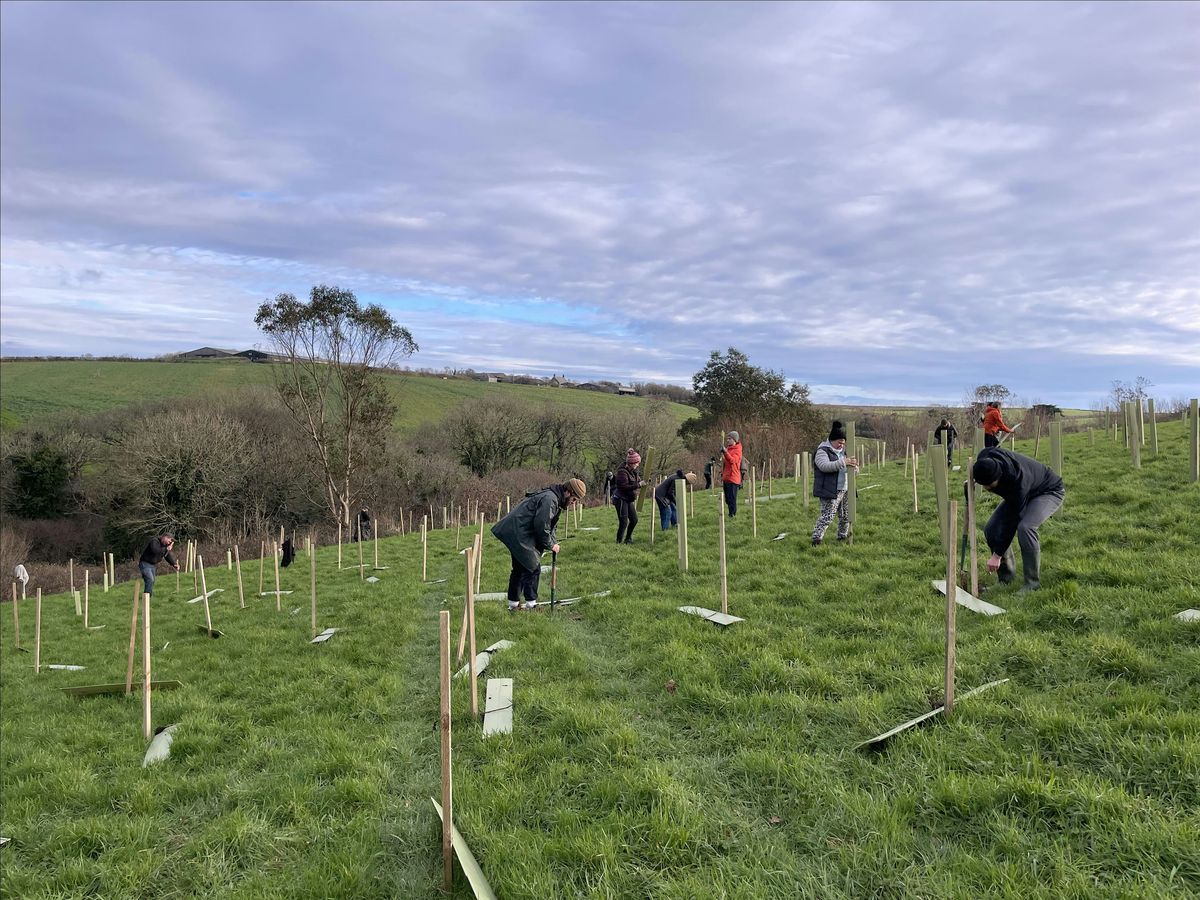 Tree-planting volunteers needed for exciting project near Dundry, Bristol