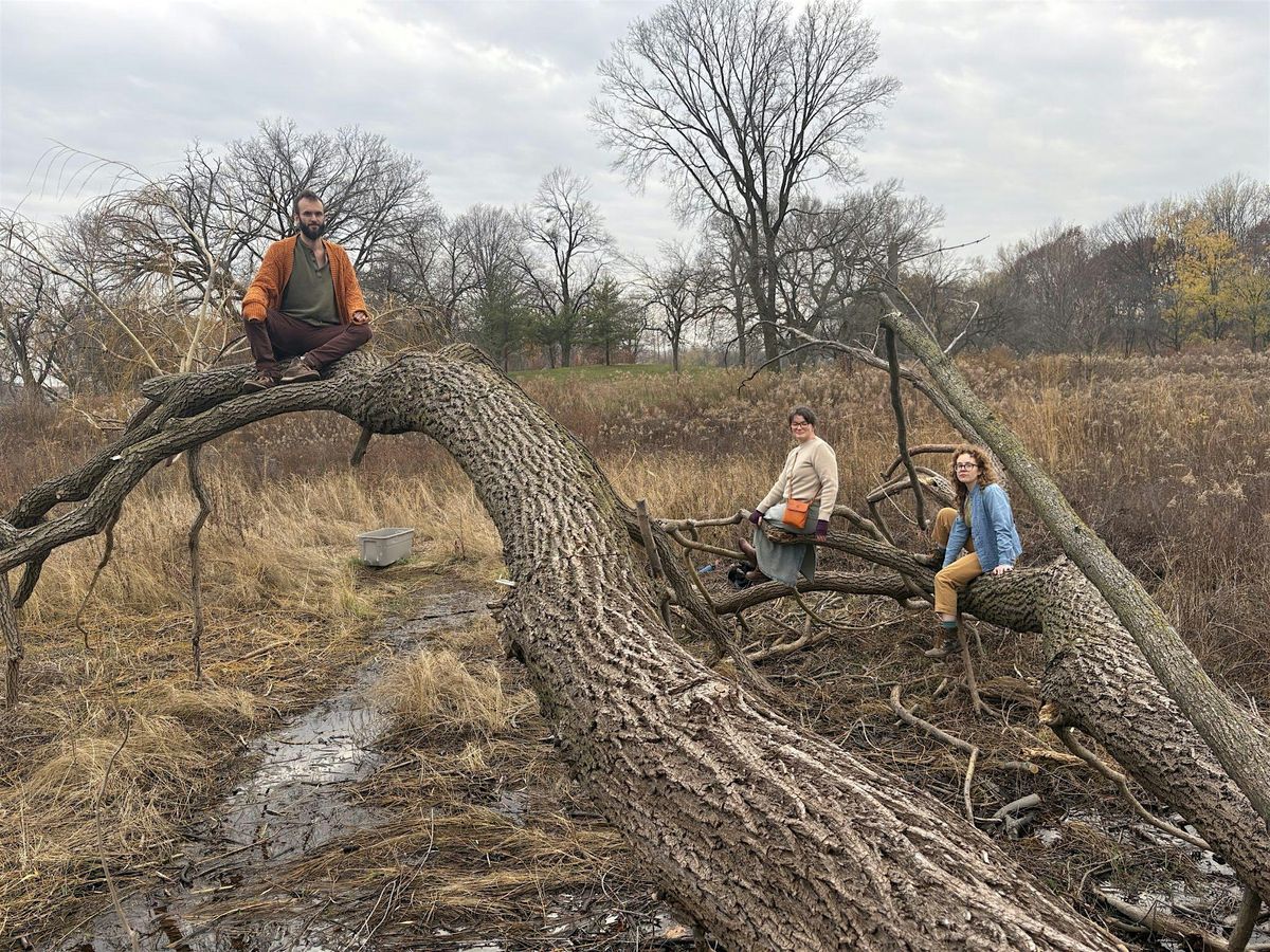 NMC Presents...Cacie Miller & Missing Piece: Subscendental Etudes