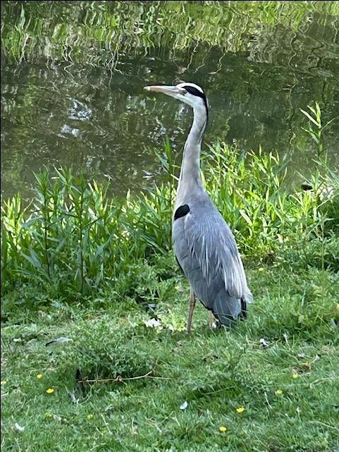 2026. Making A New Start