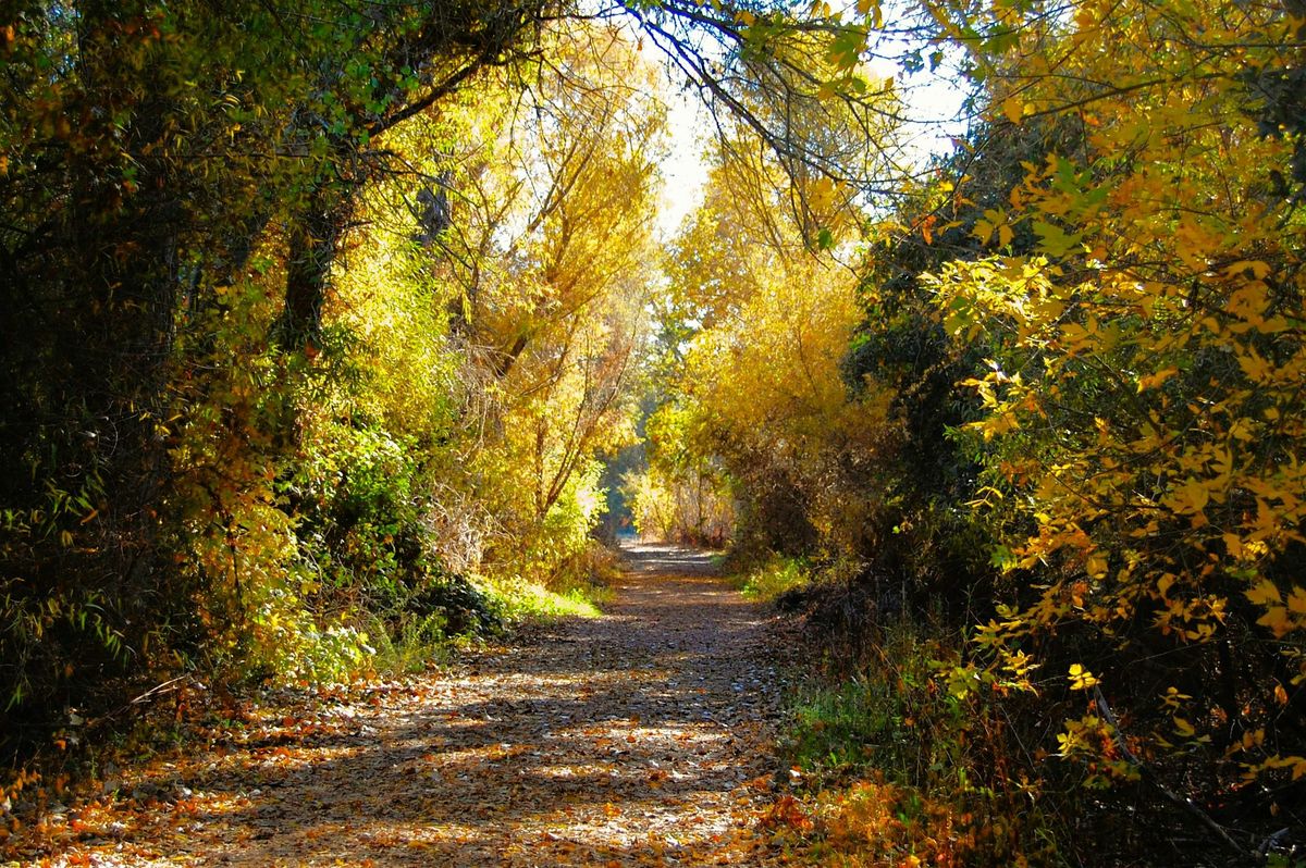 Natural and Cultural History Walk at Cosumnes River Preserve!