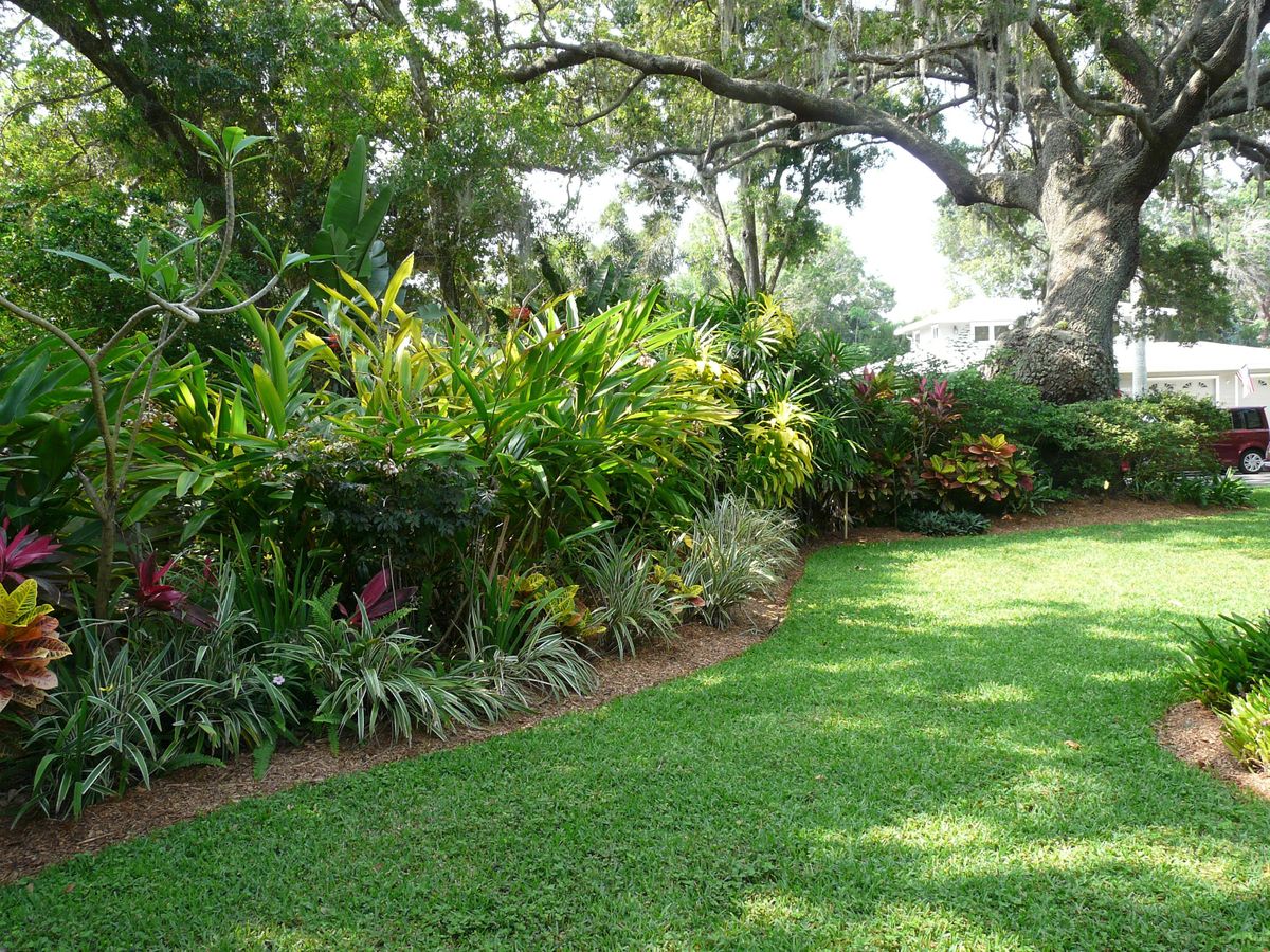 Protecting The Environment With Your Florida Friendly Landscape Webinar Online December 21