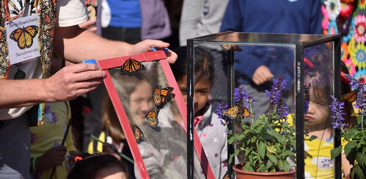 October Second Saturday: Butterflies, Marigolds, and Dia De Los Muertos