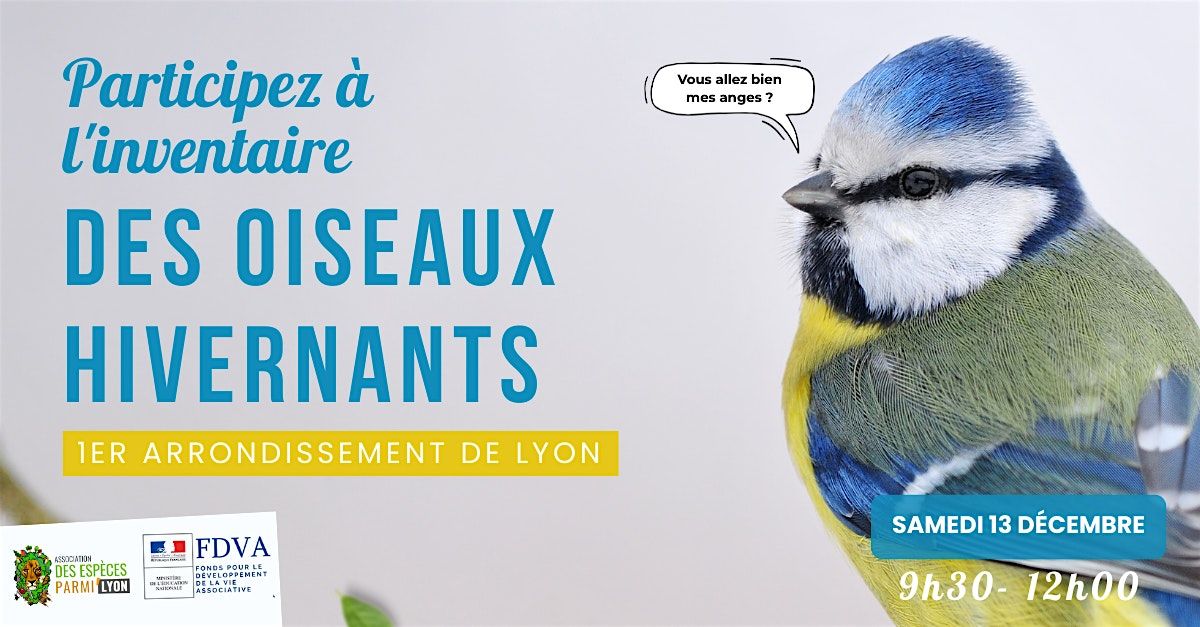 Inventaire participatif des oiseaux hivernants