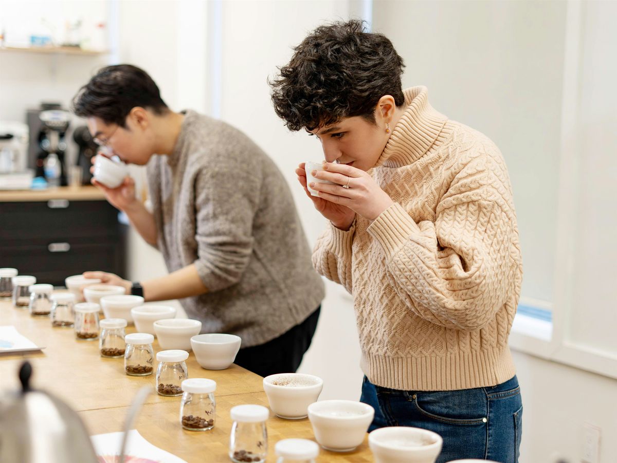 Sensory _Cupping
