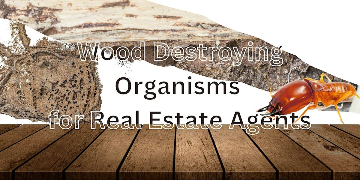 Wood Destroying Organisms