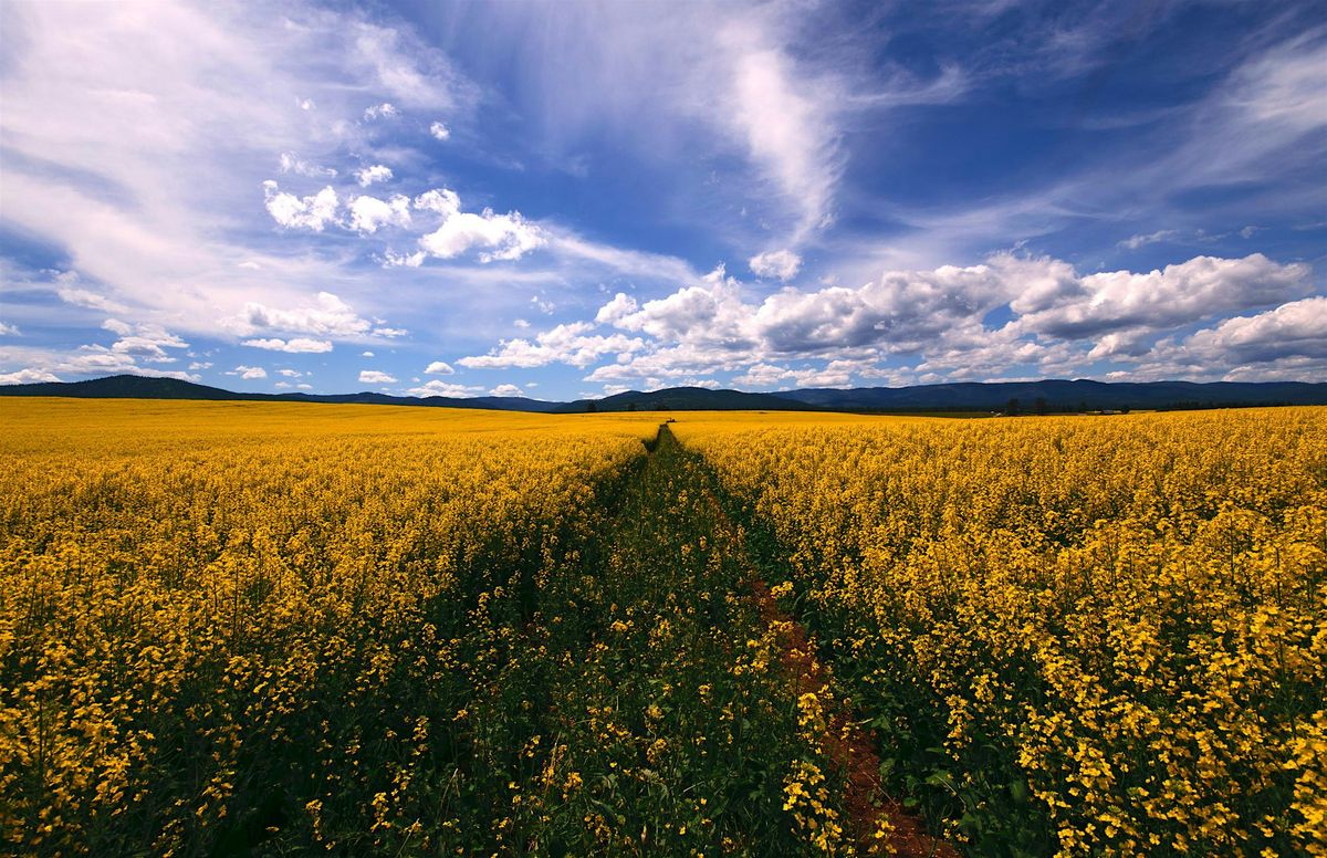 Amazing Scavenger Hunt! - Kalispell Kaper Treasure Hunt