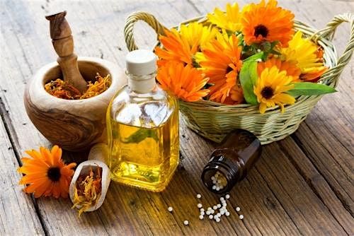 Discover Homeopathy!