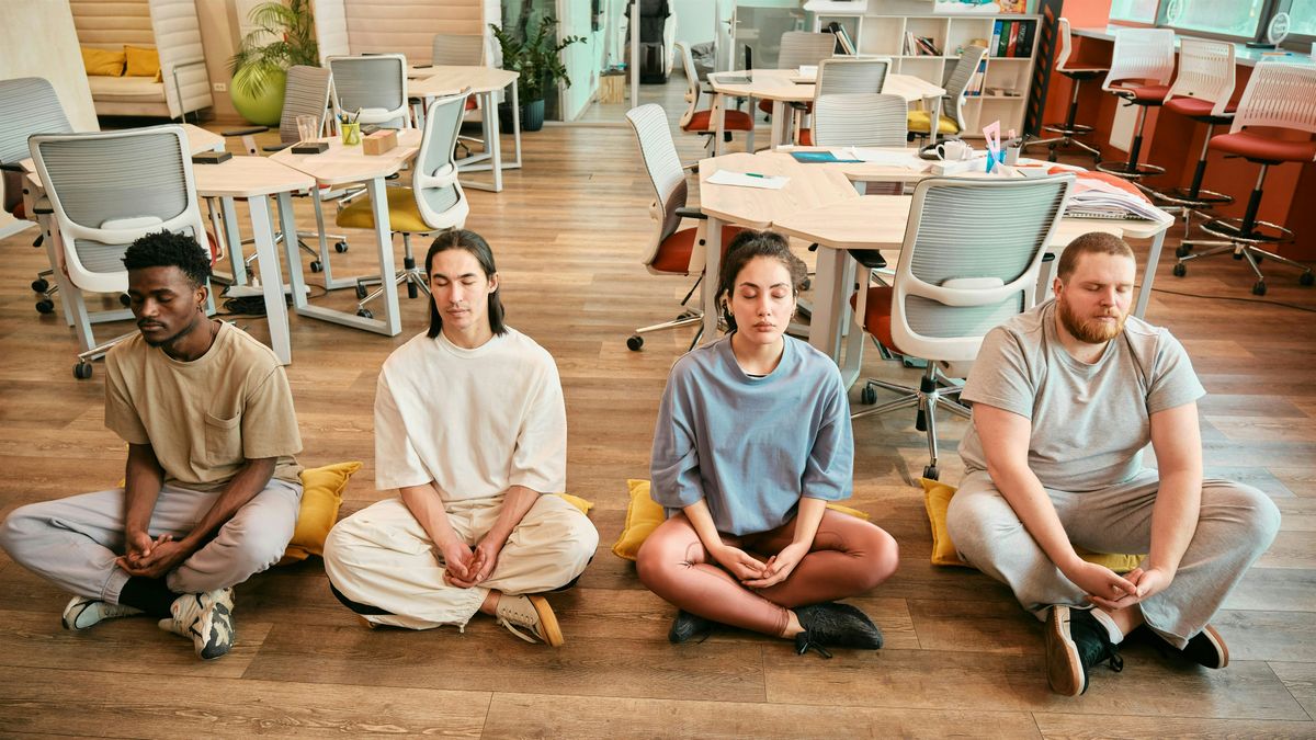 The Mindful Prof Yoga and Meditation in Valrico