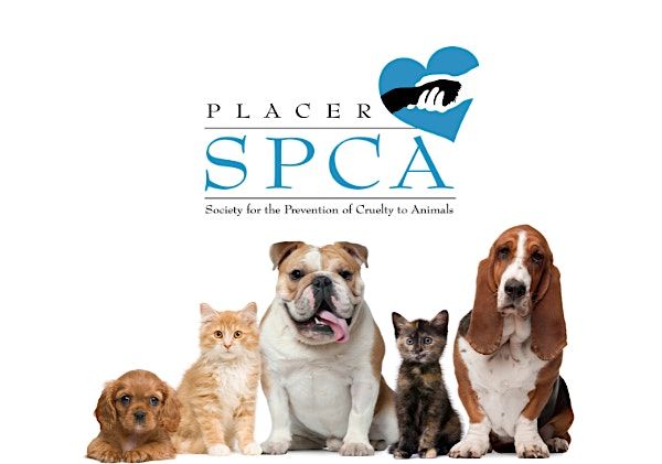 Placer SPCA Volunteer Orientation (Adult)