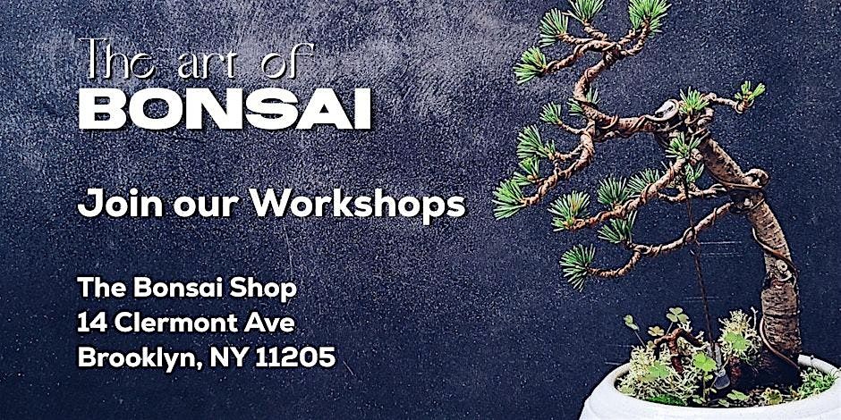 Dwarf Natal Plum Bonsai Workshop, 11\/22
