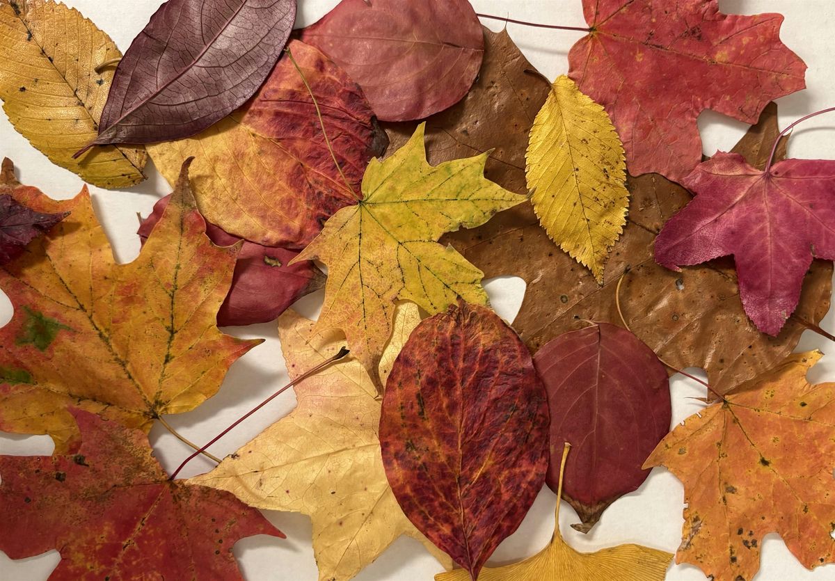 Fall Leaves Craft @ Ten Thousand Villages!