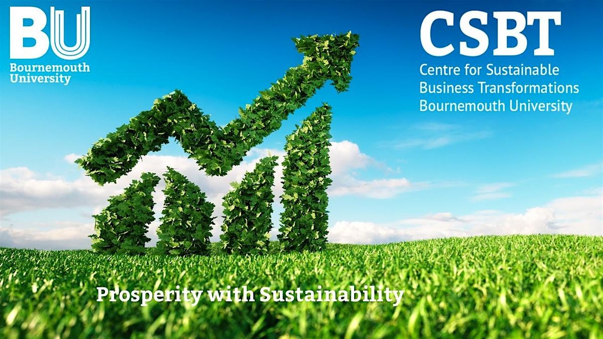 Sustainable Business Transformations in the Digital Era