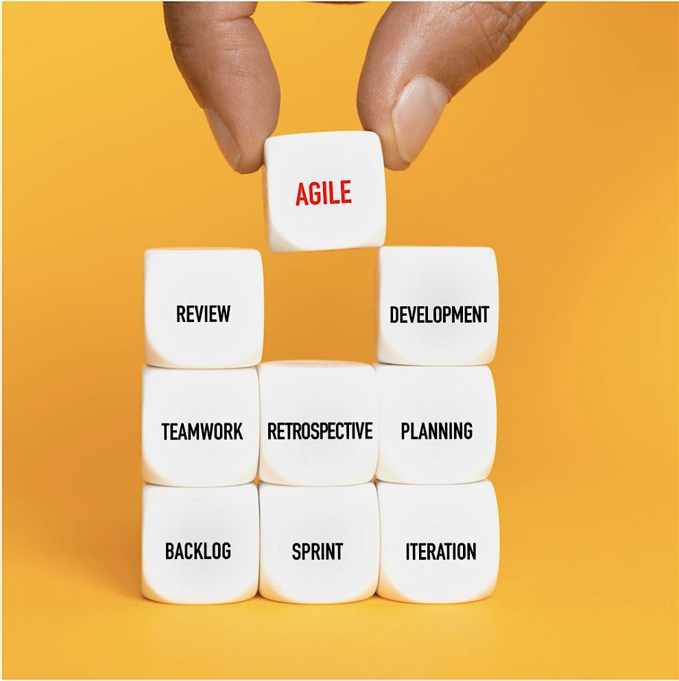 Formation Mettre en place un contr\u00f4le interne agile