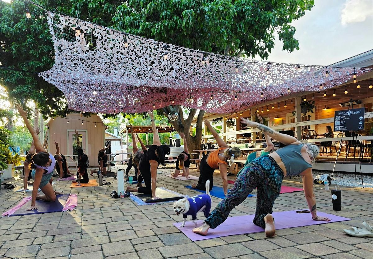 Beginner-Friendly Yoga + Mimosas & Brunch Sunday Reset