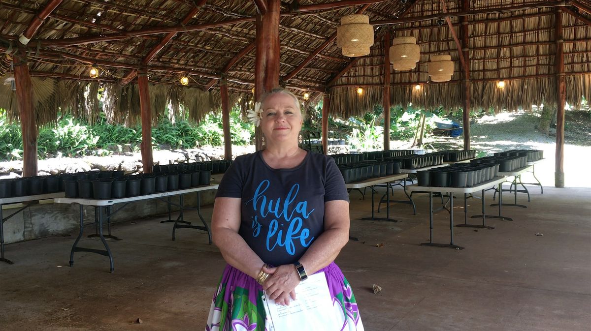 (In-Person at KOKA Kalihi) Simple Hula