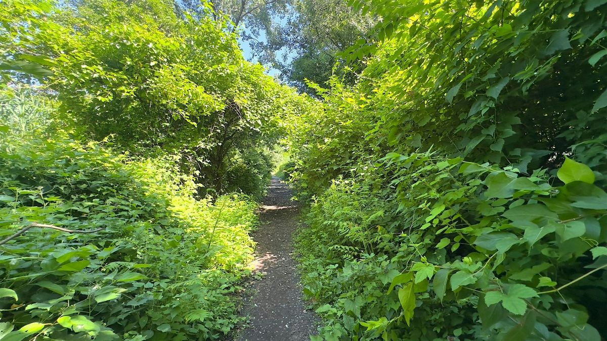 Mindful Nature Journaling Hike \/ Flushing Meadows Corona Park (Queens)
