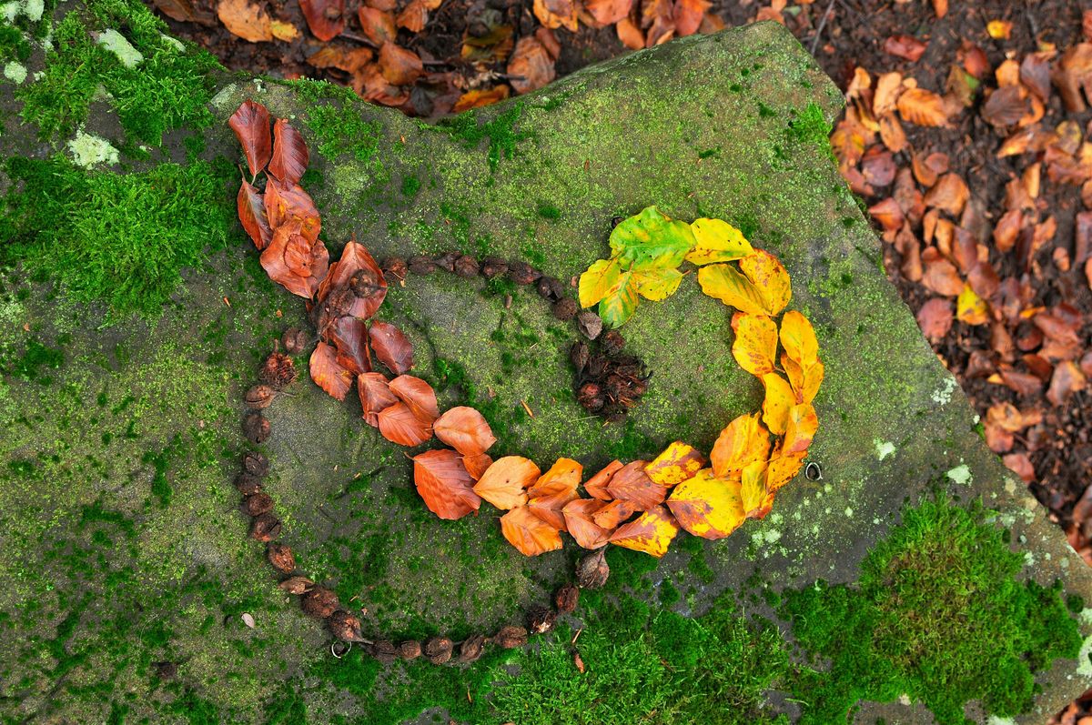 Land Art: Ala Andy Goldsworthy
