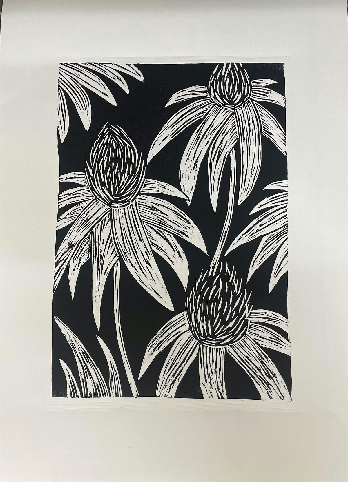 3 Day Summer Print Class