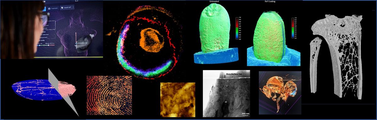 Sheffield Multimodal Imaging Centre Conference 2026