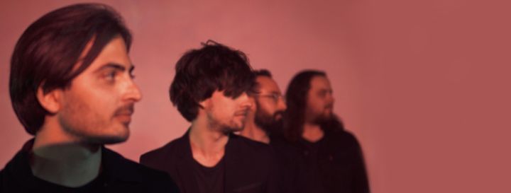 VANCOOL | The Aardvark, Fremantle