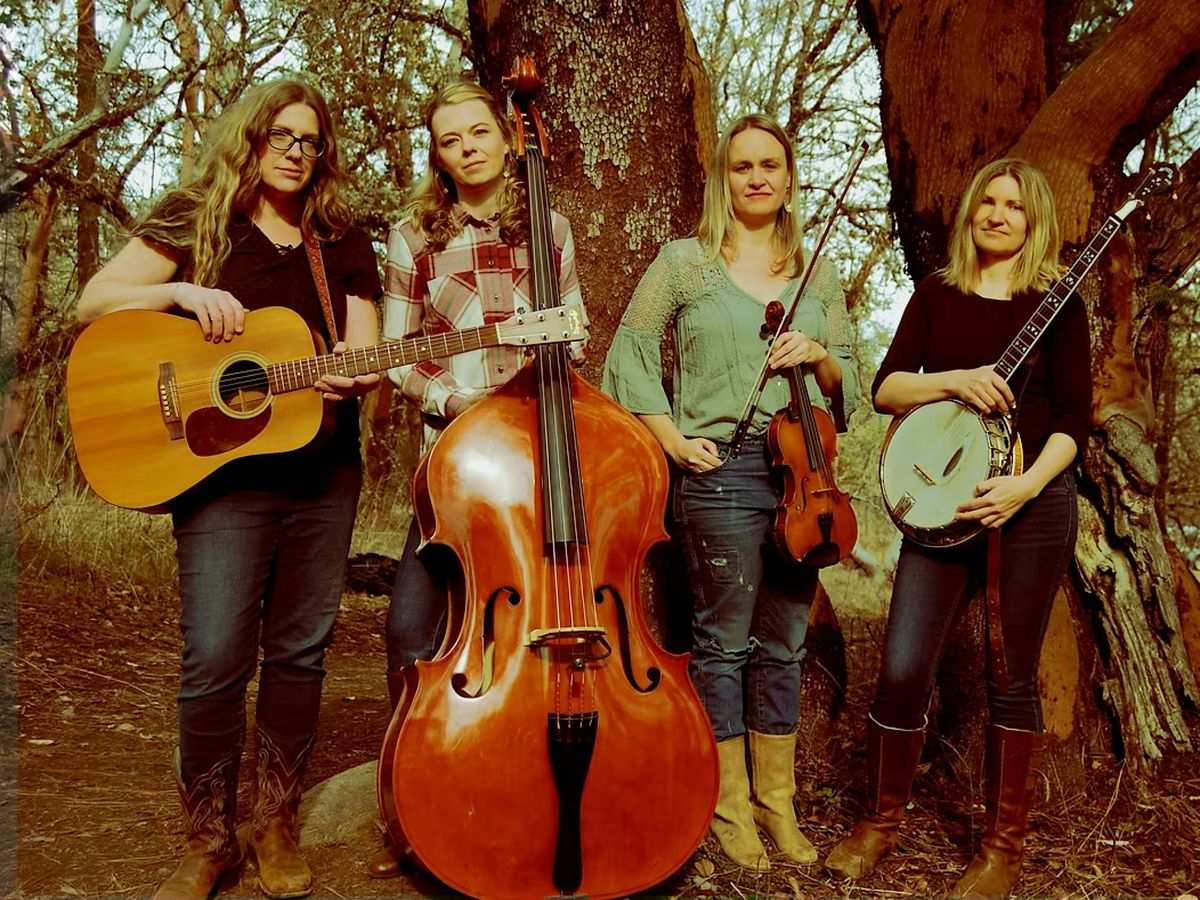 The Rosa Lees LIVE at The Rosebud