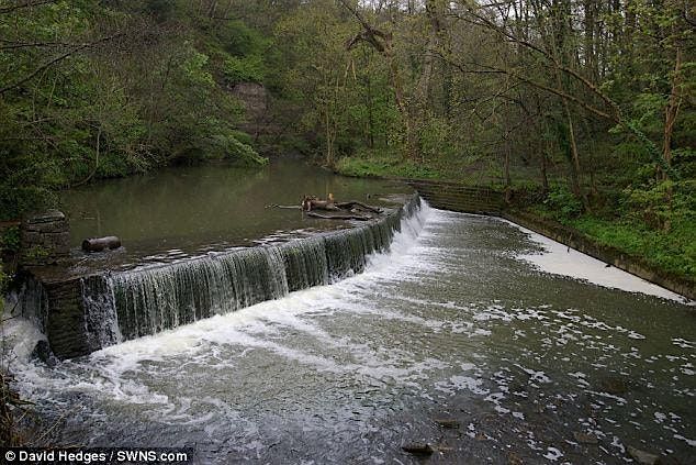 Wild Foods of the Frome