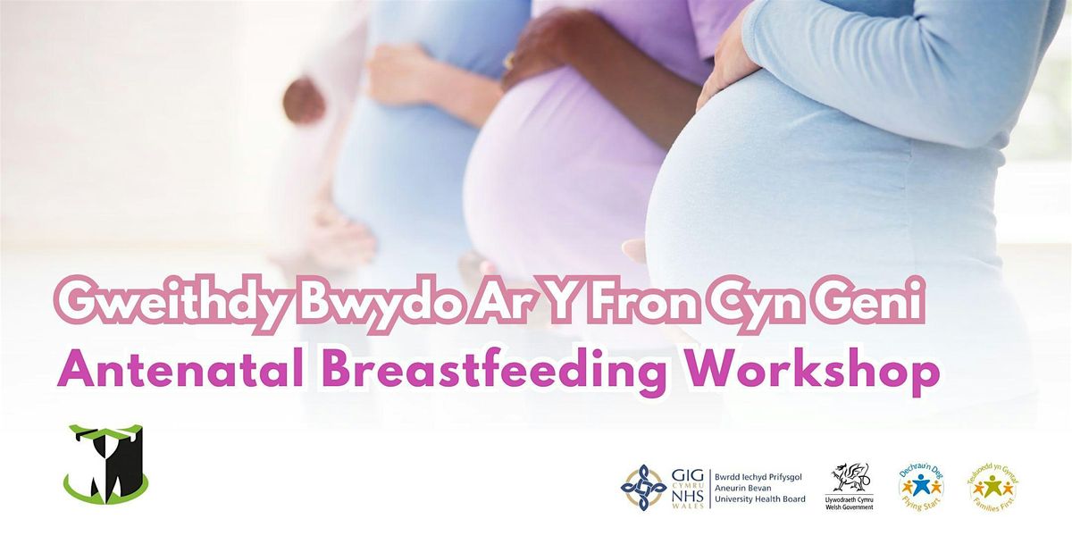 Monmouthshire Antenatal Breastfeeding Workshop