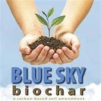 Blue Sky Biochar