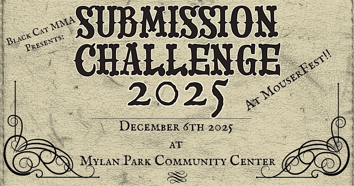 Submission Challenge 2025