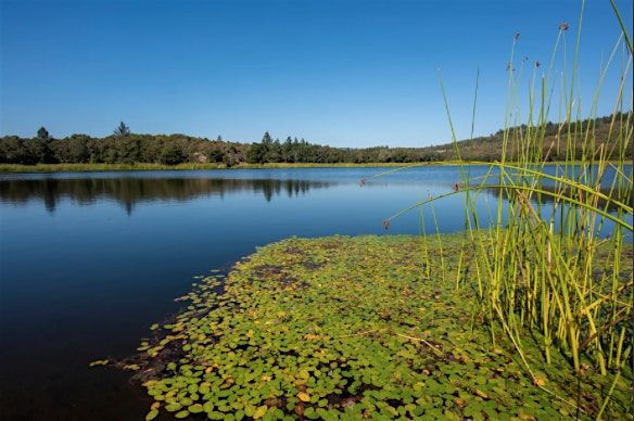 YogaHike @ Lake Ilsanjo (Annadel SP, Santa Rosa)