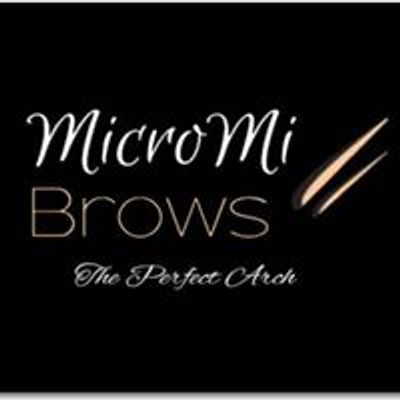 Micromi brows