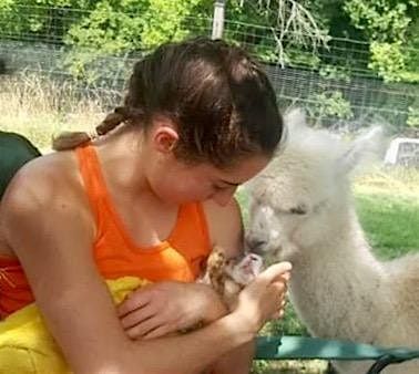 Baby Goat & Bunny Bottle Feed & Free Costume Giveaway!