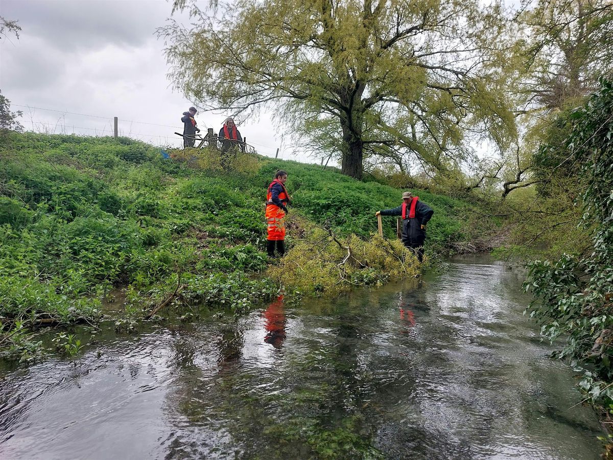 River Restoration in the Siston Brook